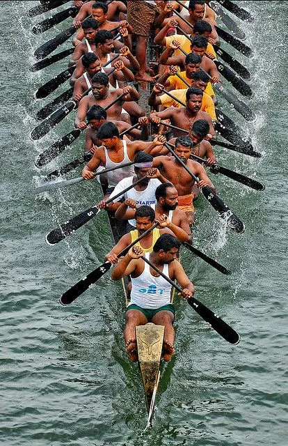 Brave men racing in the Kerala traditional boat festival