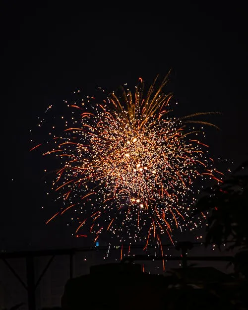 Bright clustered fireworks captured with expert timing