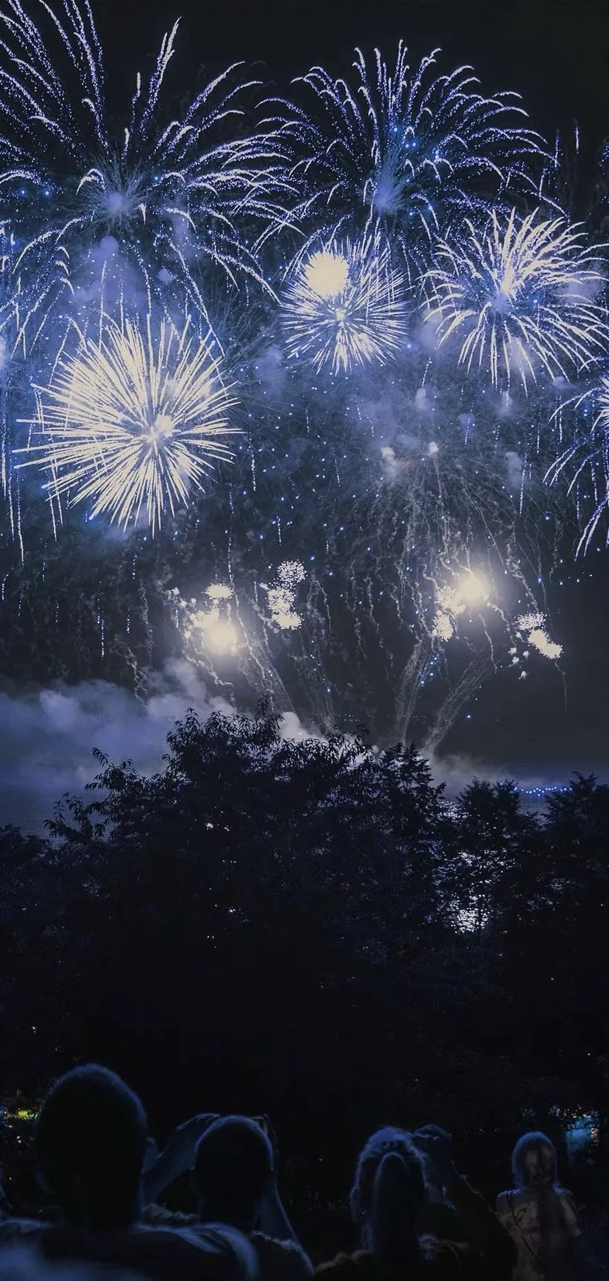 Bright fireworks display lighting up the sky over a crowd