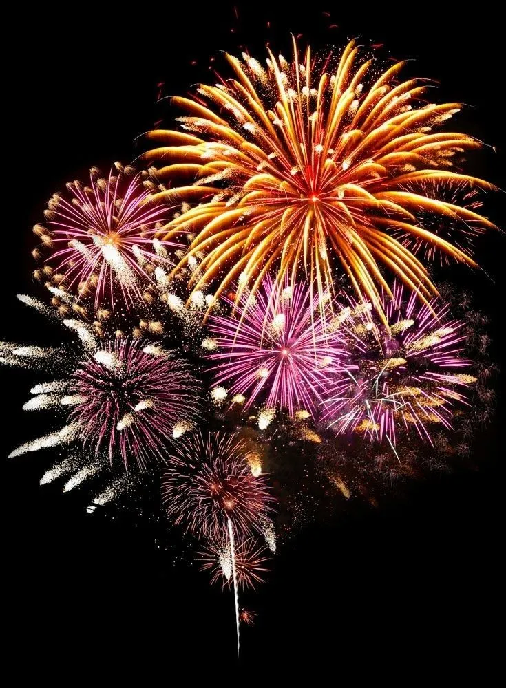 Bright fireworks exploding with purple and red sparks