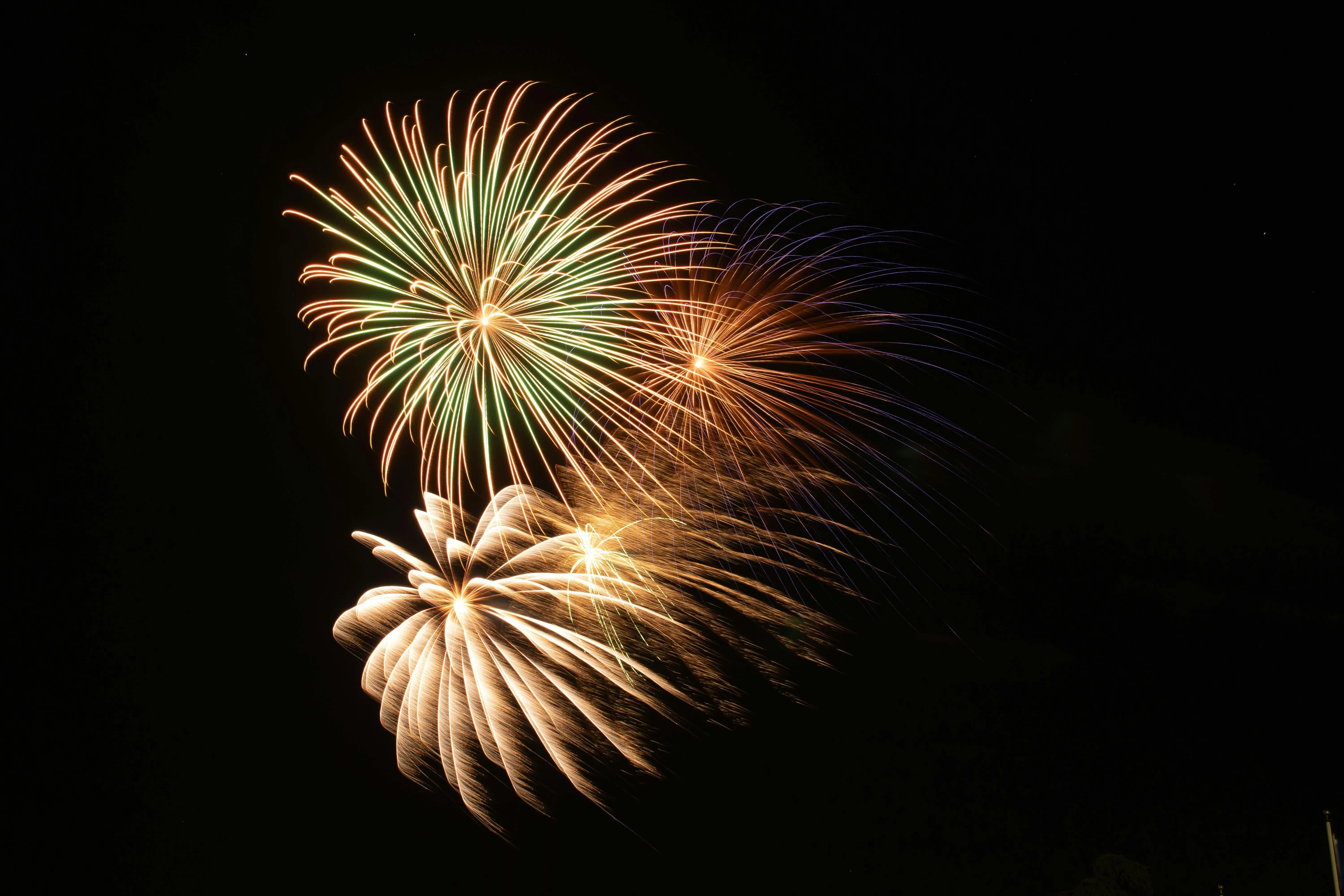Bright fireworks forming beautiful patterns in the night sky