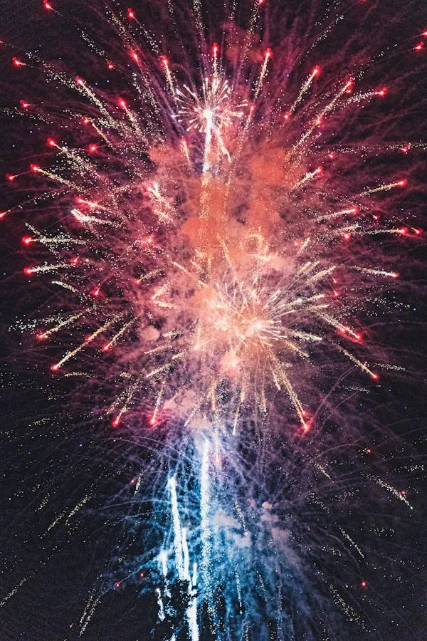 Bright fireworks in the sky with colorful bursts of light