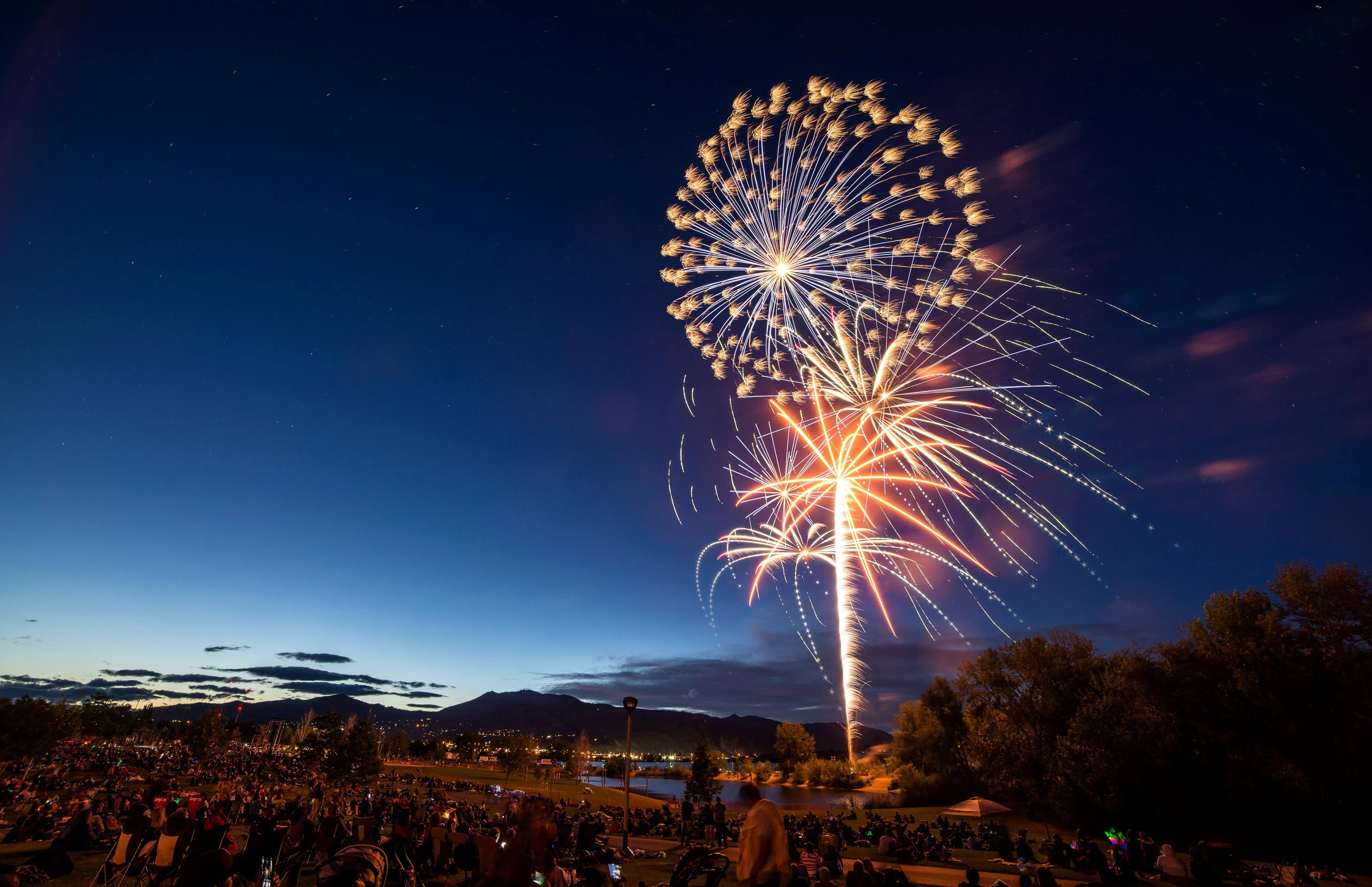 Bright fireworks lighting up the night sky over a scenic view