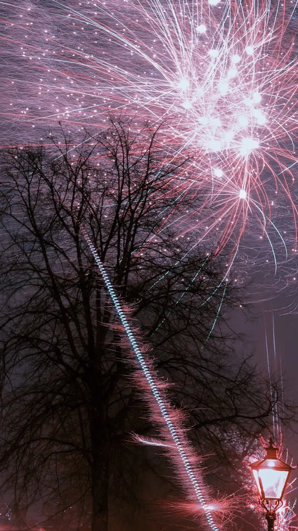 Bright Fireworks Lighting up Trees in the Dark Sky image