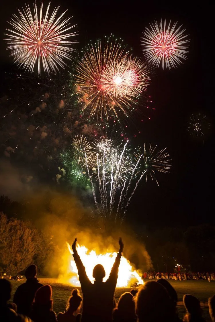 Bright Fireworks over People Watching at Night Sky