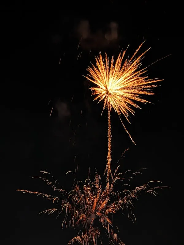 Bright Fireworks With Long Trails in Dark Night Sky