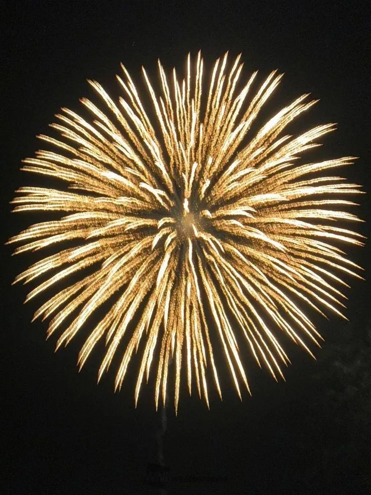Bright Golden Fireworks in the Night Sky Wallpaper HD