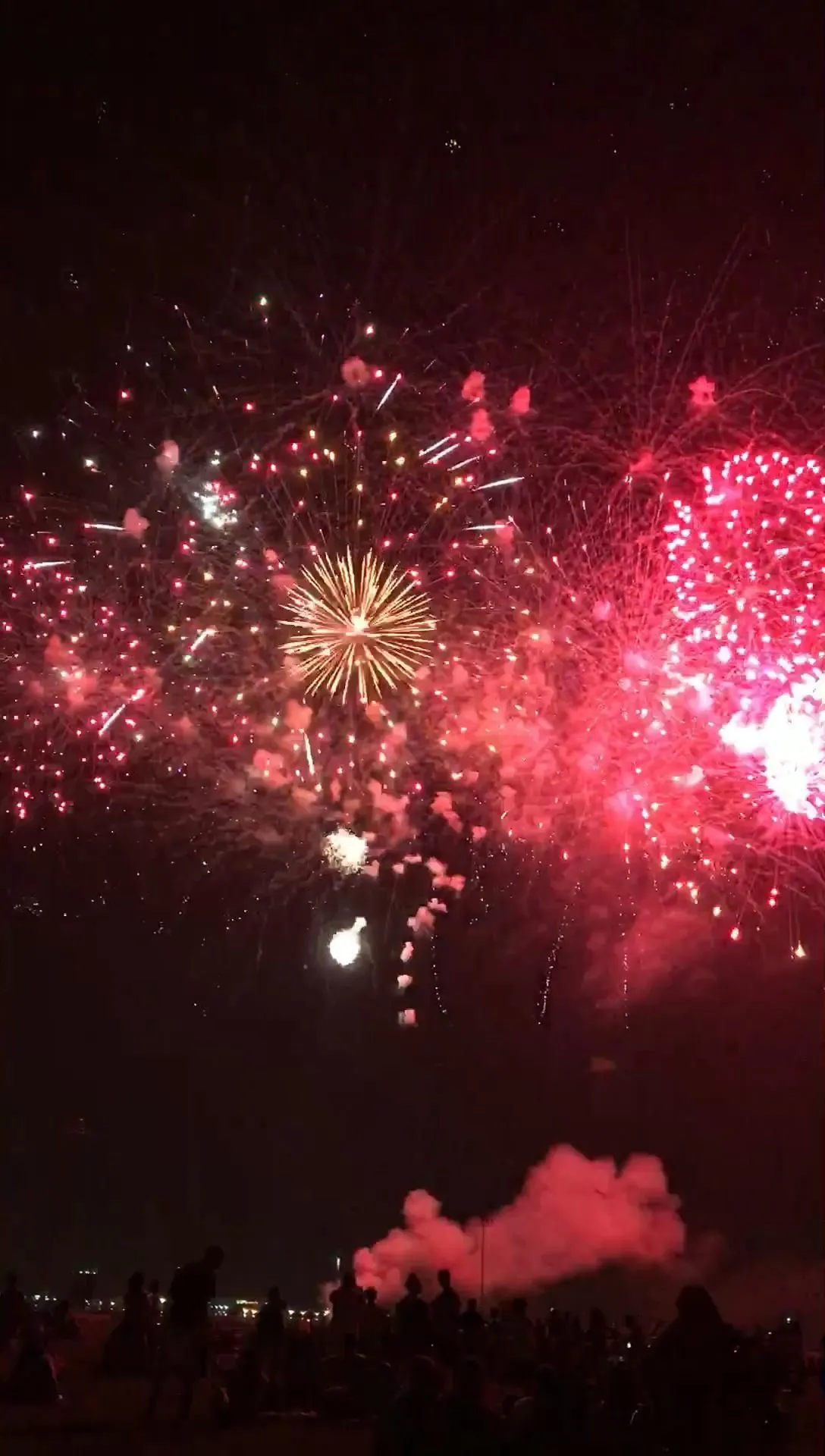 Bright pink and red fireworks exploding in the night sky