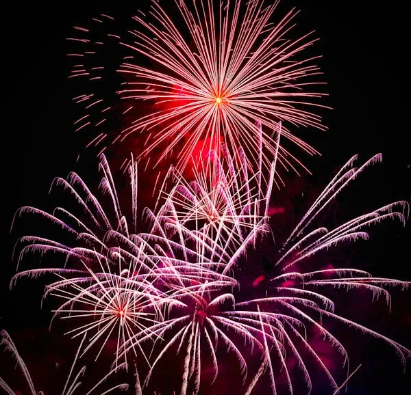 Bright Red and Gold Fireworks Bursting in the Dark Sky