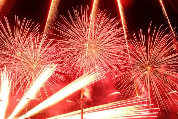 Bright red and pink fireworks lighting up the dark sky