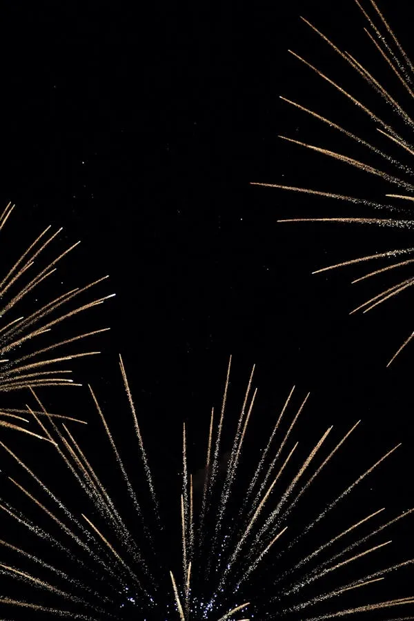 Bright White Fireworks Exploding in Evening Darkness HD