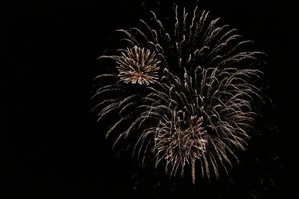 Brilliant Firework Bursts in the Night Sky HD Wallpaper