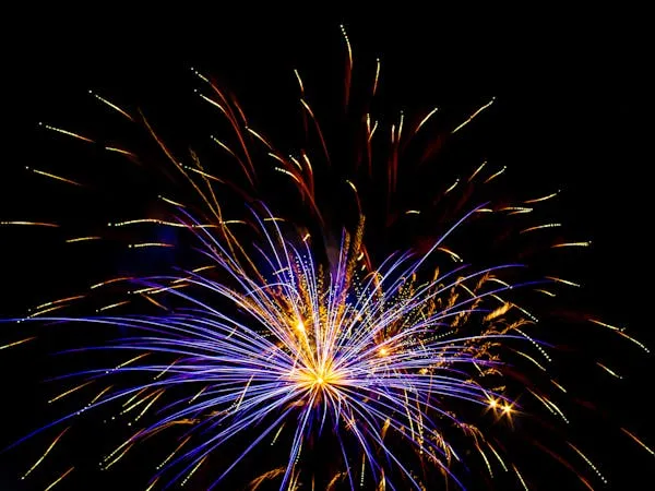 Brilliant Fireworks Bursting in a Dark Sky with Colorful Sparks