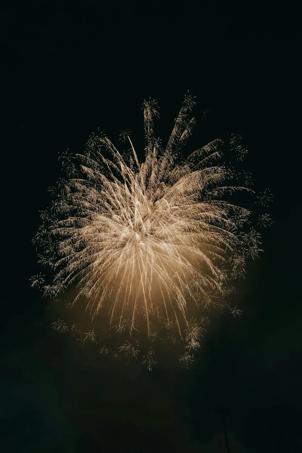 Brilliant Fireworks in the Dark Sky with Soft Sparks image