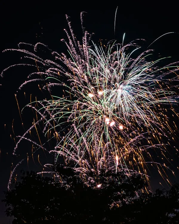 Bursting fireworks in a dark sky with vibrant colors