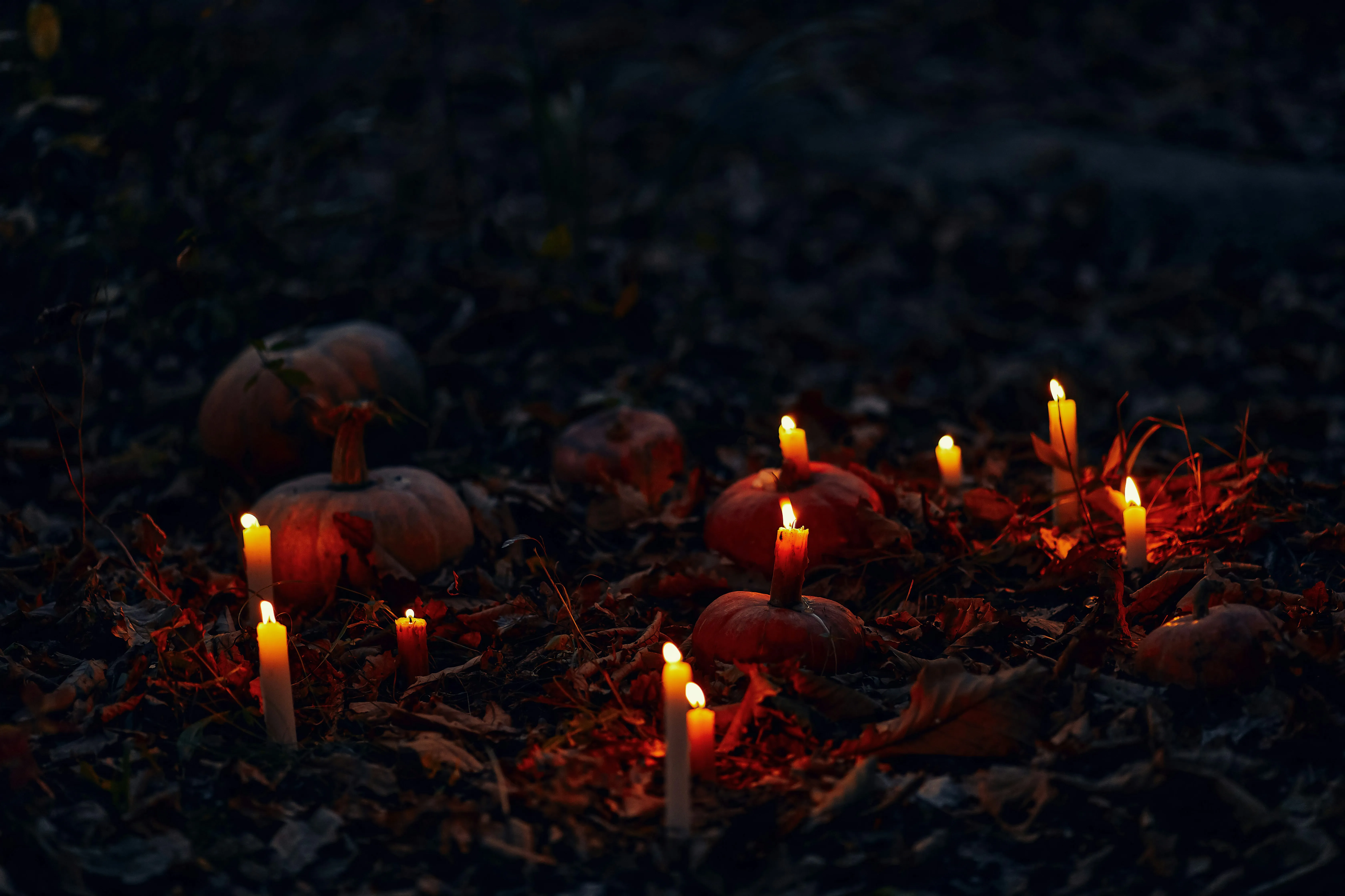 Candles and Pumpkins in Spooky Forest Night Setting Image