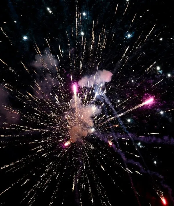 Captivating Fireworks of Pink and Purple Lighting up the Night