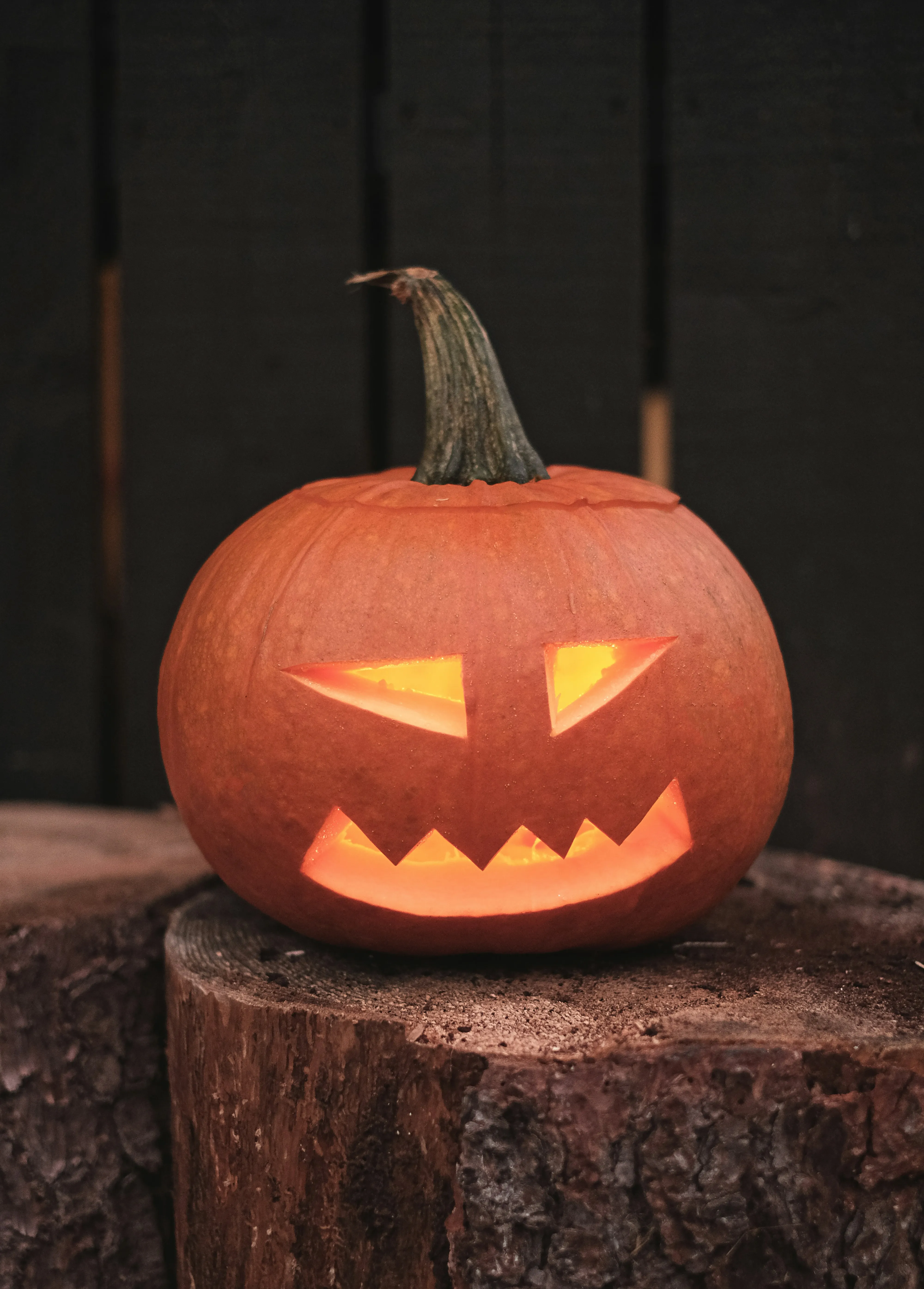 Carved Halloween Pumpkin with Sharp Smile on Log Wallpaper