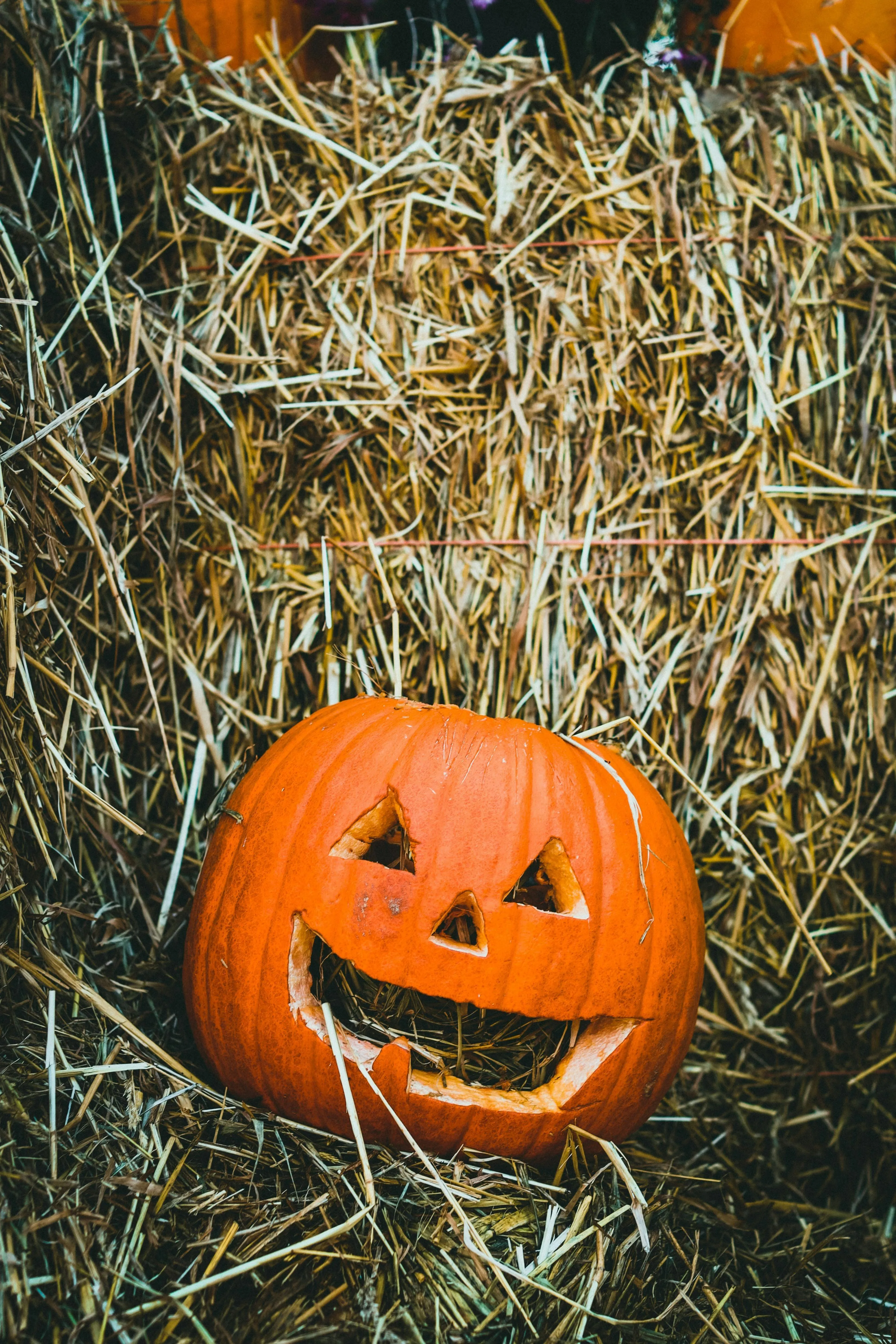 Carved Pumpkin Sitting on Straw Stack at Outside Image