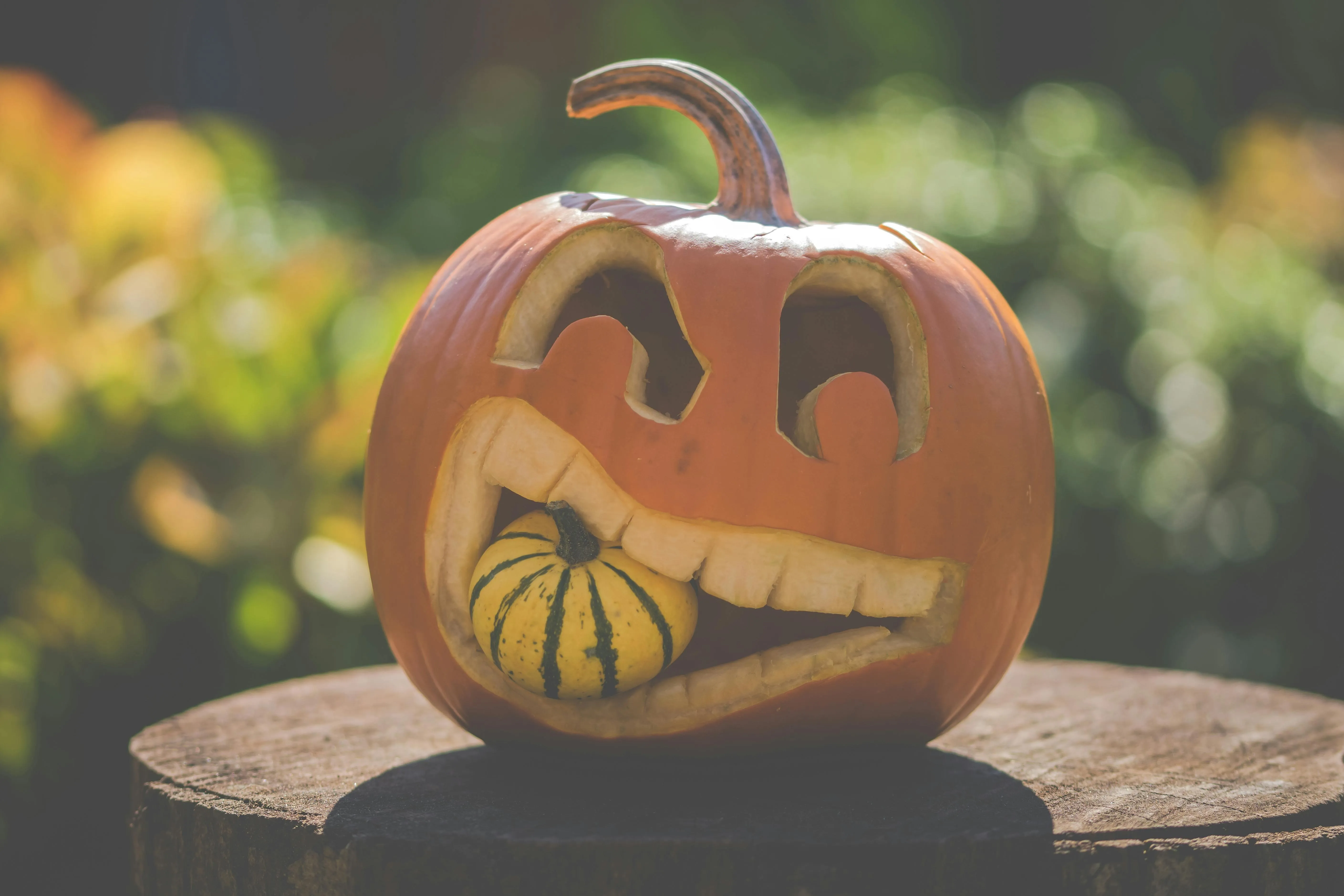 Carved Pumpkin with Funny Bitting Face Sitting Outside