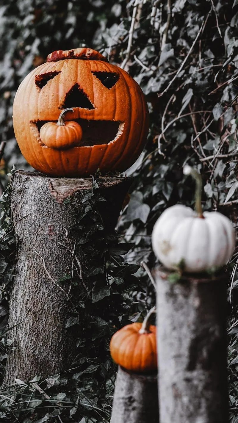 Carved Pumpkins on Tree for Halloween Outdoor Decoration