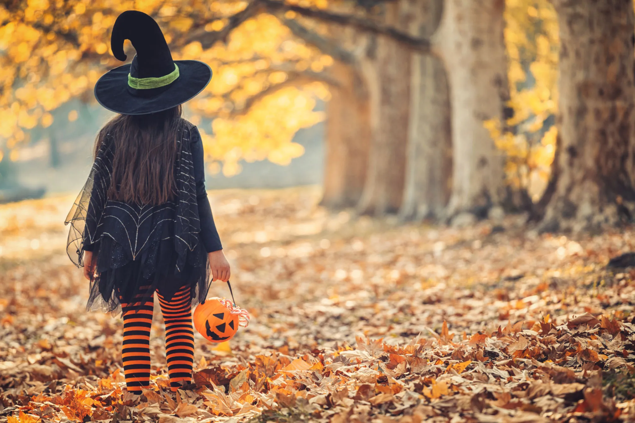 Child Dressed as Witch Holding Pumpkin Bucket in Forest Path
