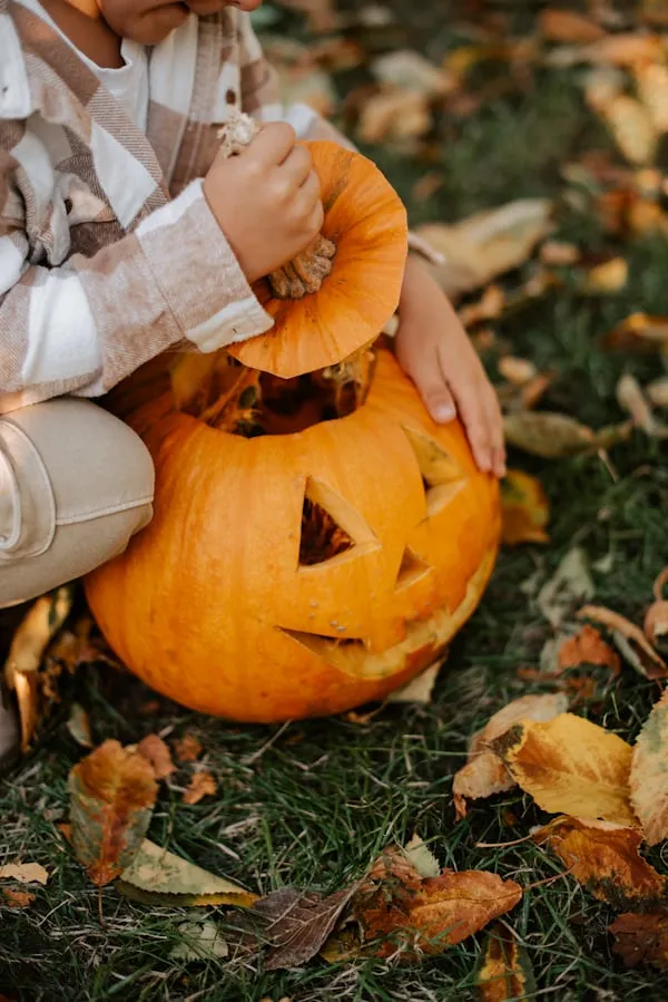 Child Holding Jack O Lantern Pumpkin with Autumn Leaves