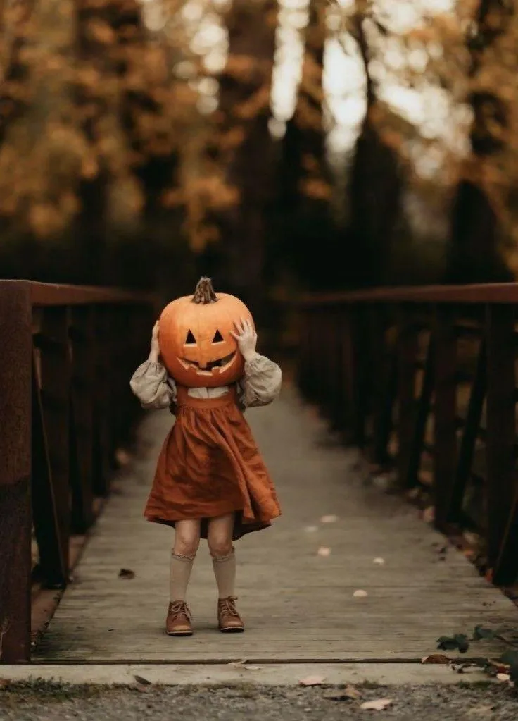 Child Wearing Pumpkin Head on Autumn Forest Bridge HD
