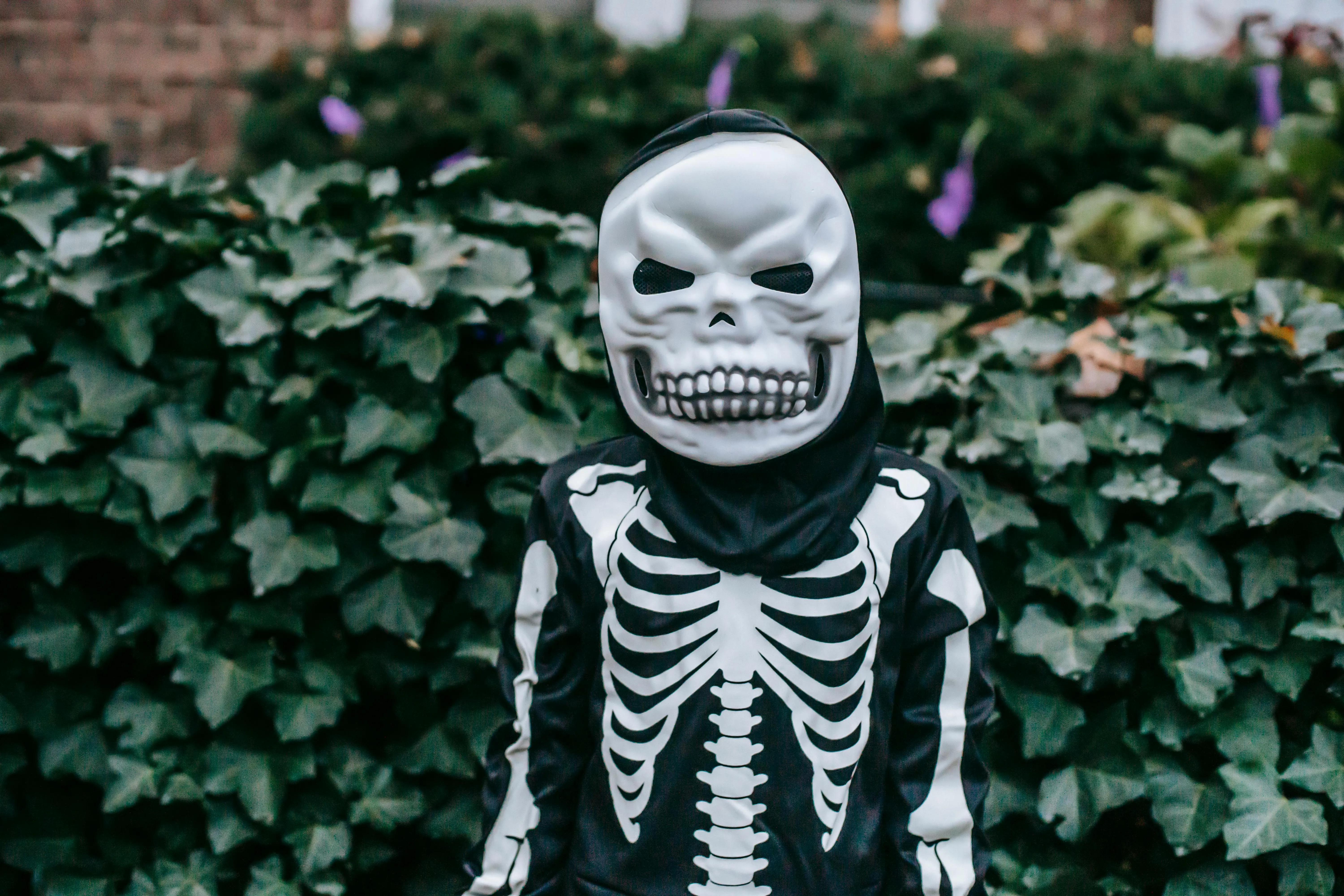 Child Wearing Skeleton Costume in Garden HD Wallpaper