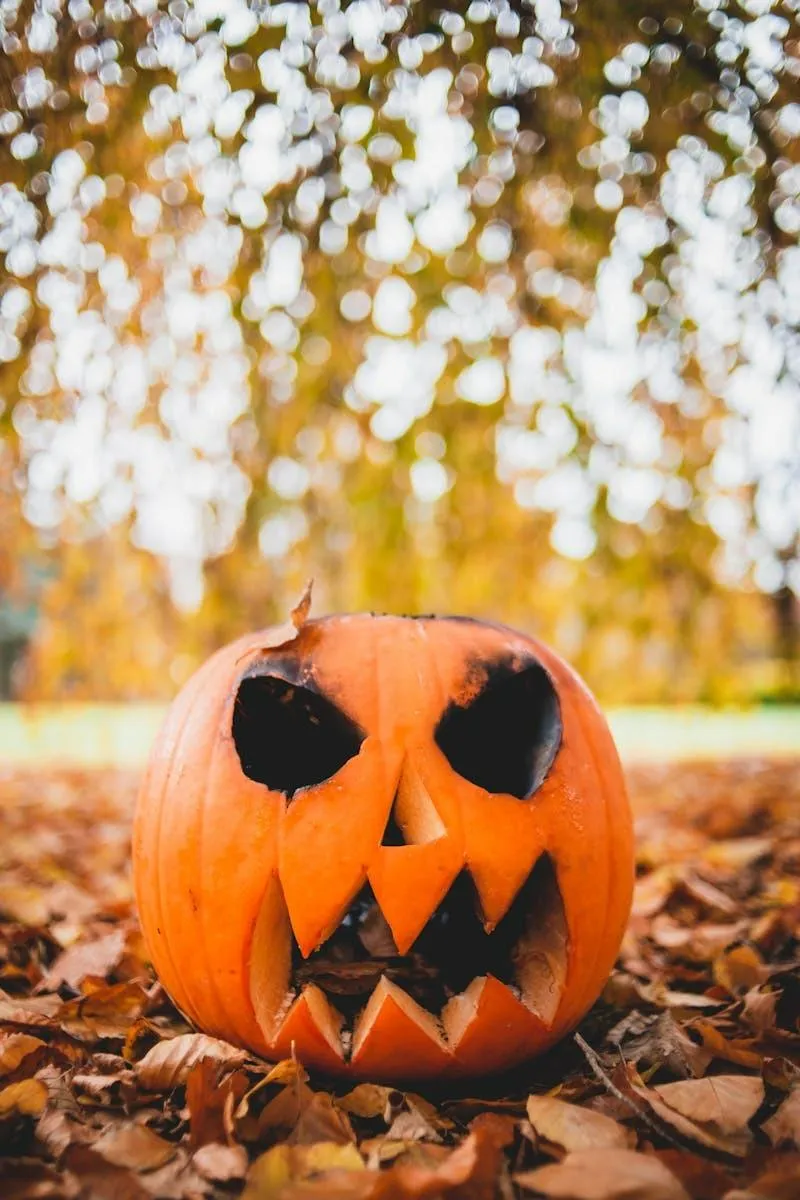 Classic Carved Jack O Lantern Pumpkin in Autumn Scene