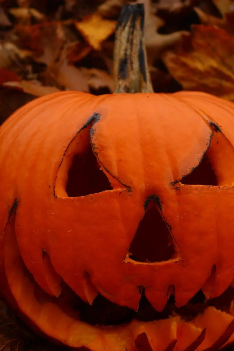 Classic Jack O Lantern Glowing For Halloween Night Image