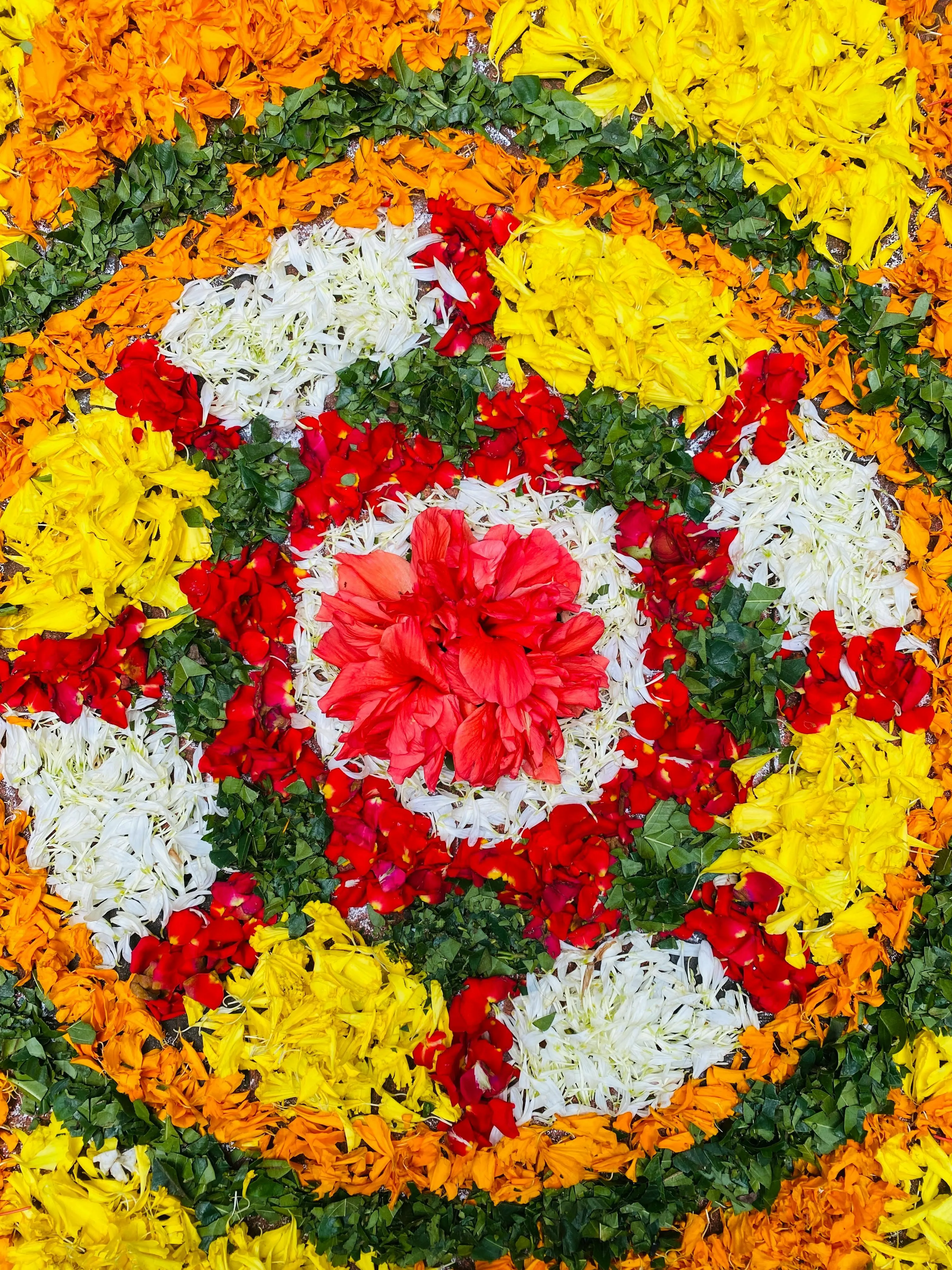 Close up image of pookolam with Hibiscus and marigold Petals