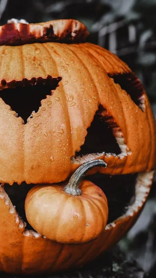 Close Up Of Carved Pumpkin with Dramatic Lighting Wallpaper