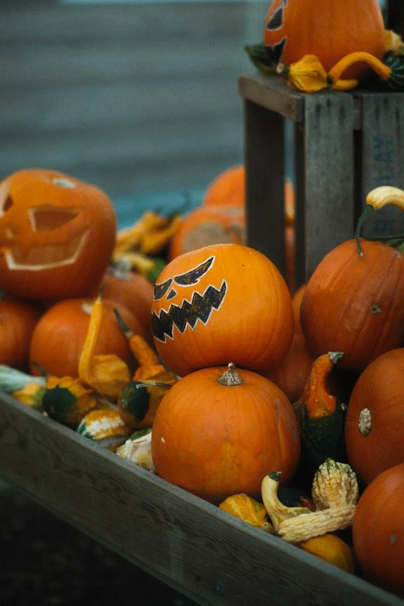 Close Up Of Carved Pumpkins in Autumn Market Display Image