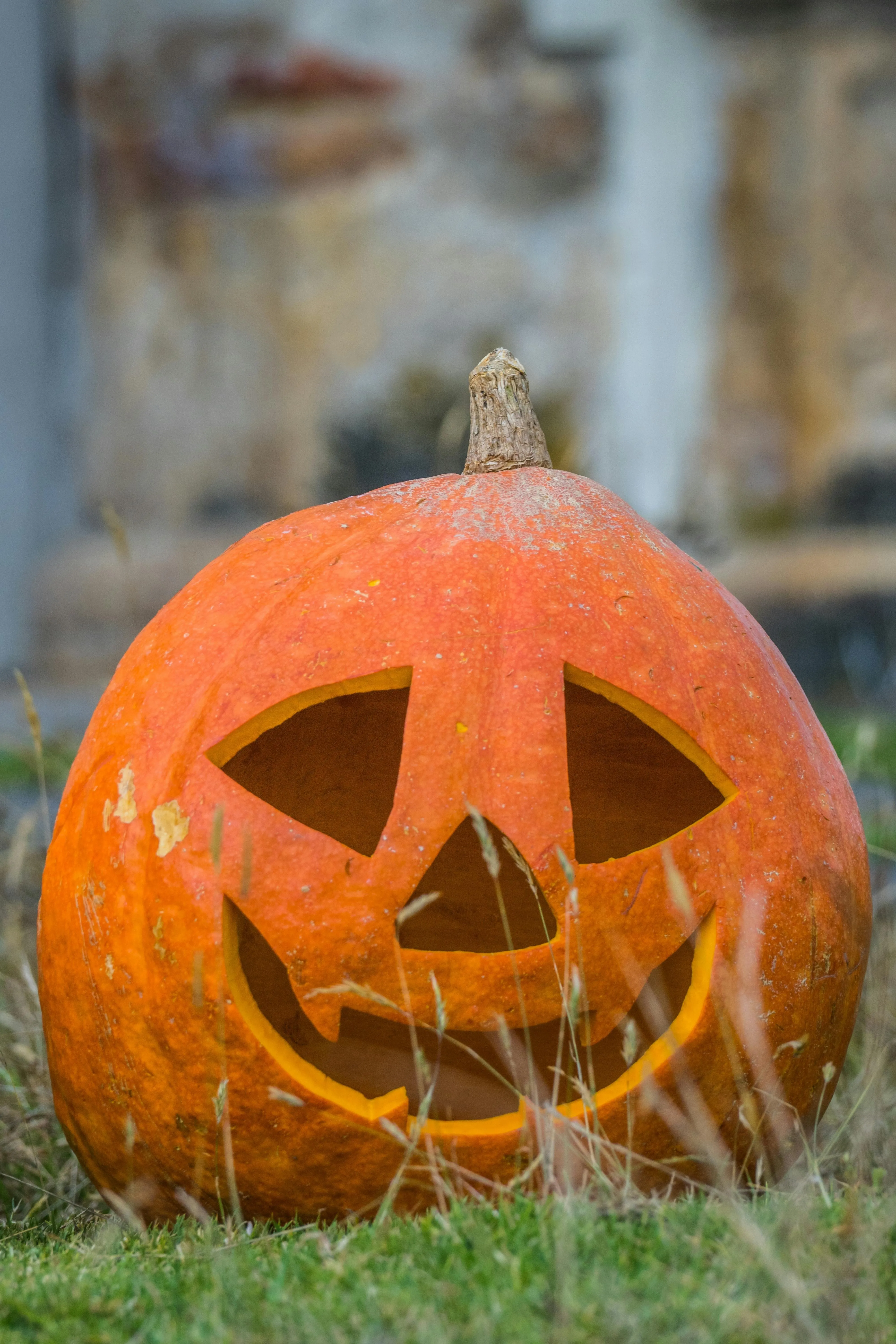 Close Up Of Classic Carved Pumpkin on Autumn Grass Image