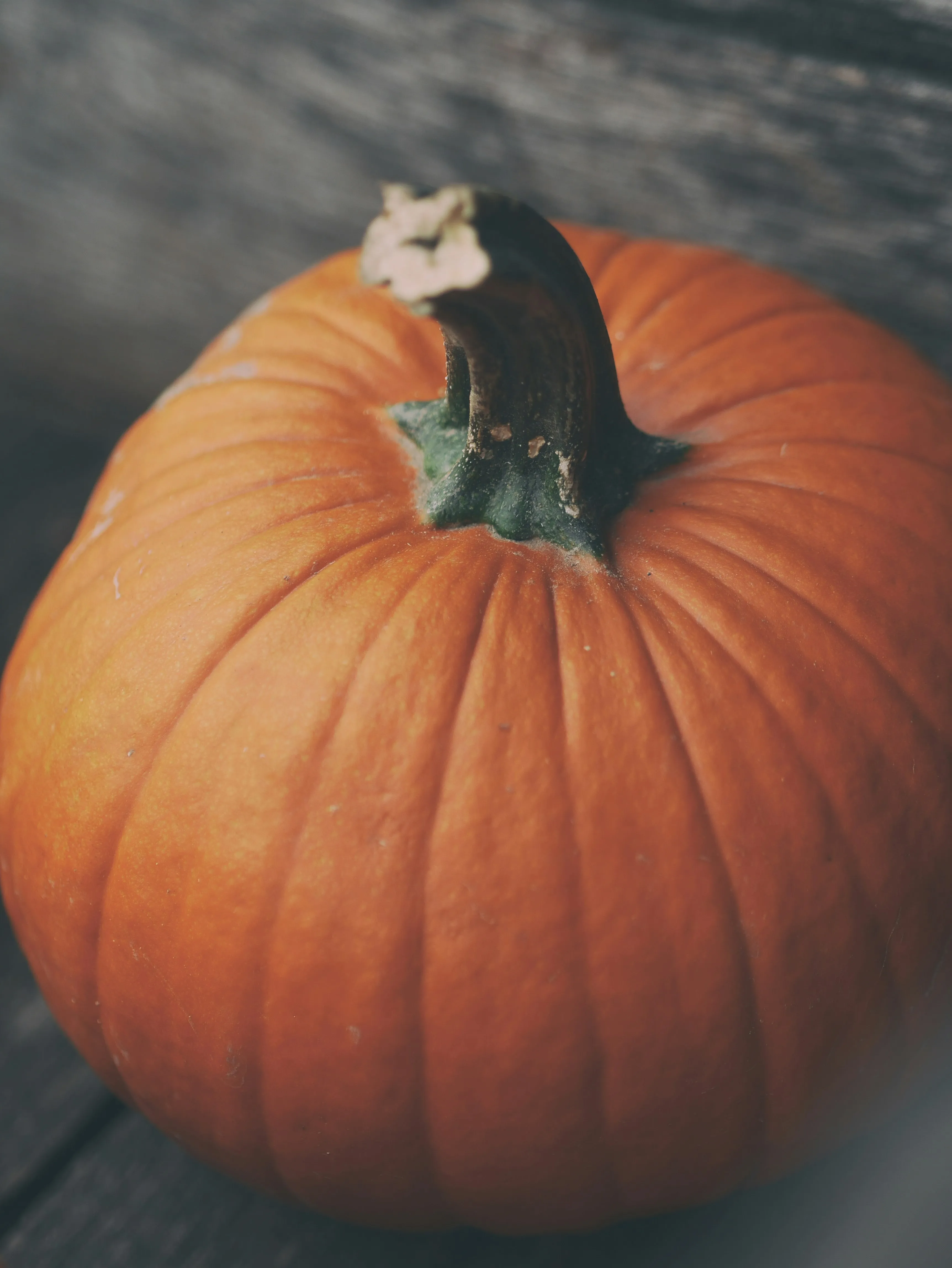 Close Up Of Classic Orange Pumpkin with Stem Wallpaper