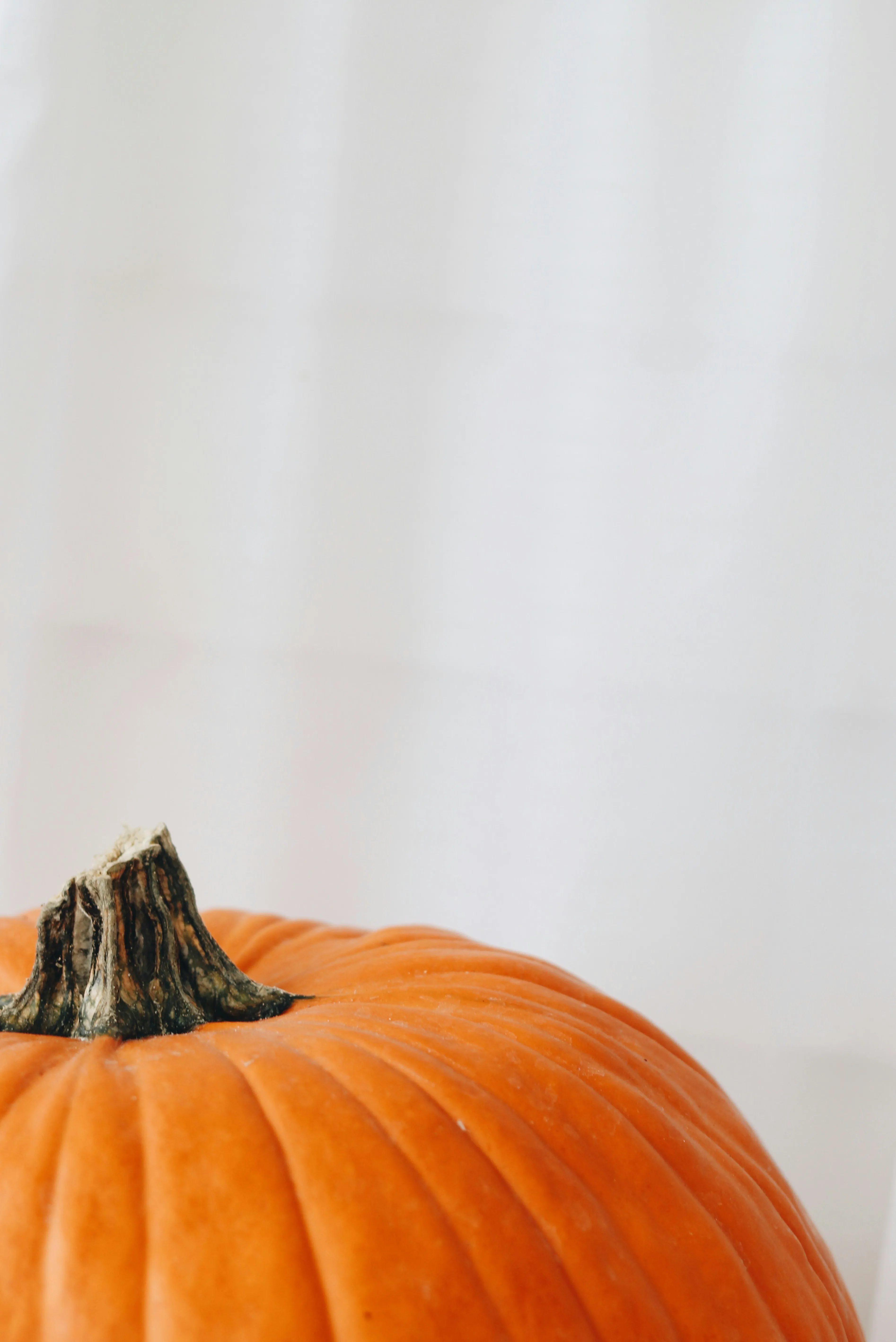 Close Up Of Orange Pumpkin Against White Background Image