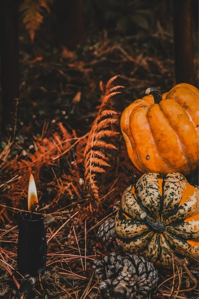 Close Up Of Pumpkins and Ferns in Autumn Forest Setting
