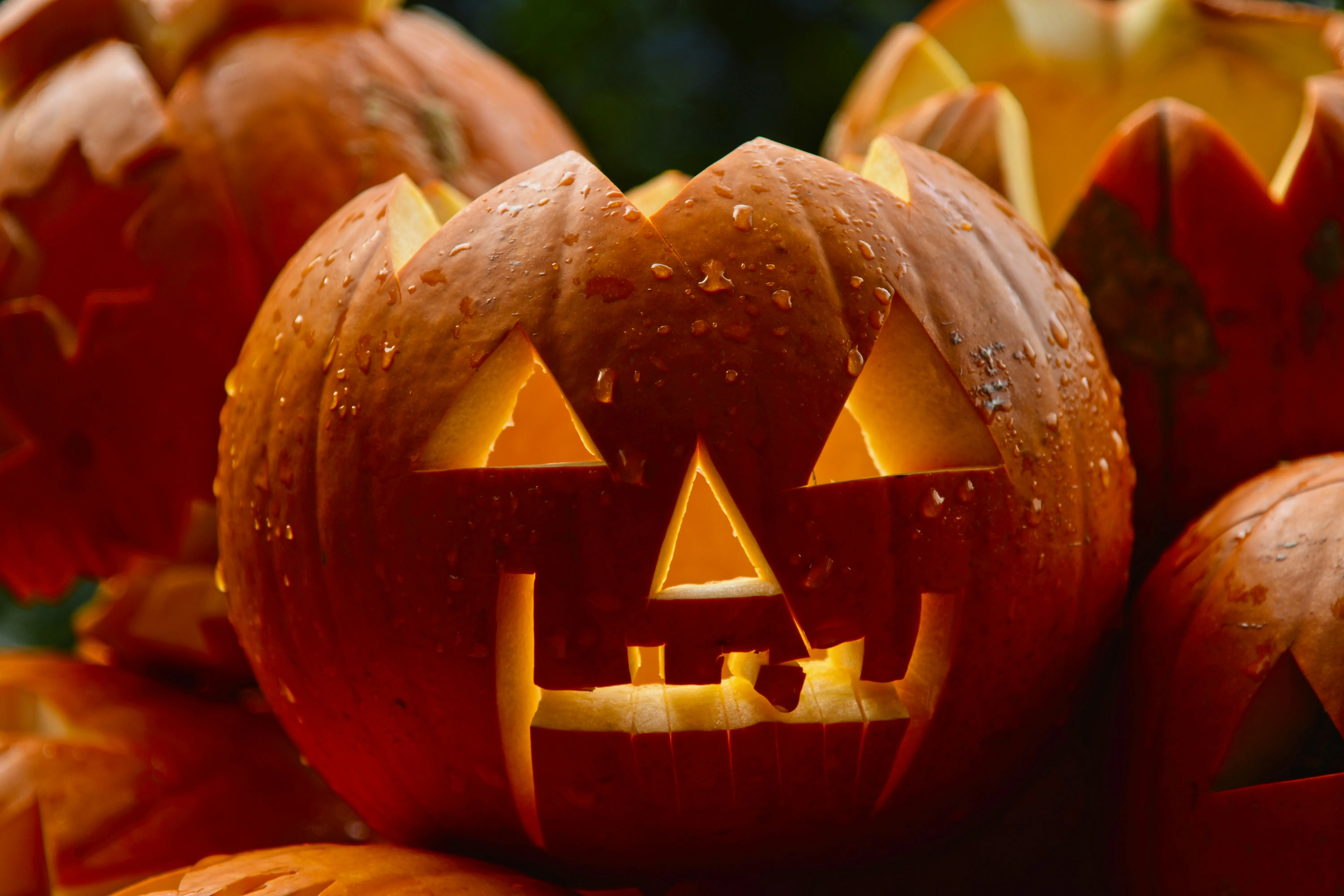Close Up Of Scary Carved Pumpkin Face in Candlelight HD