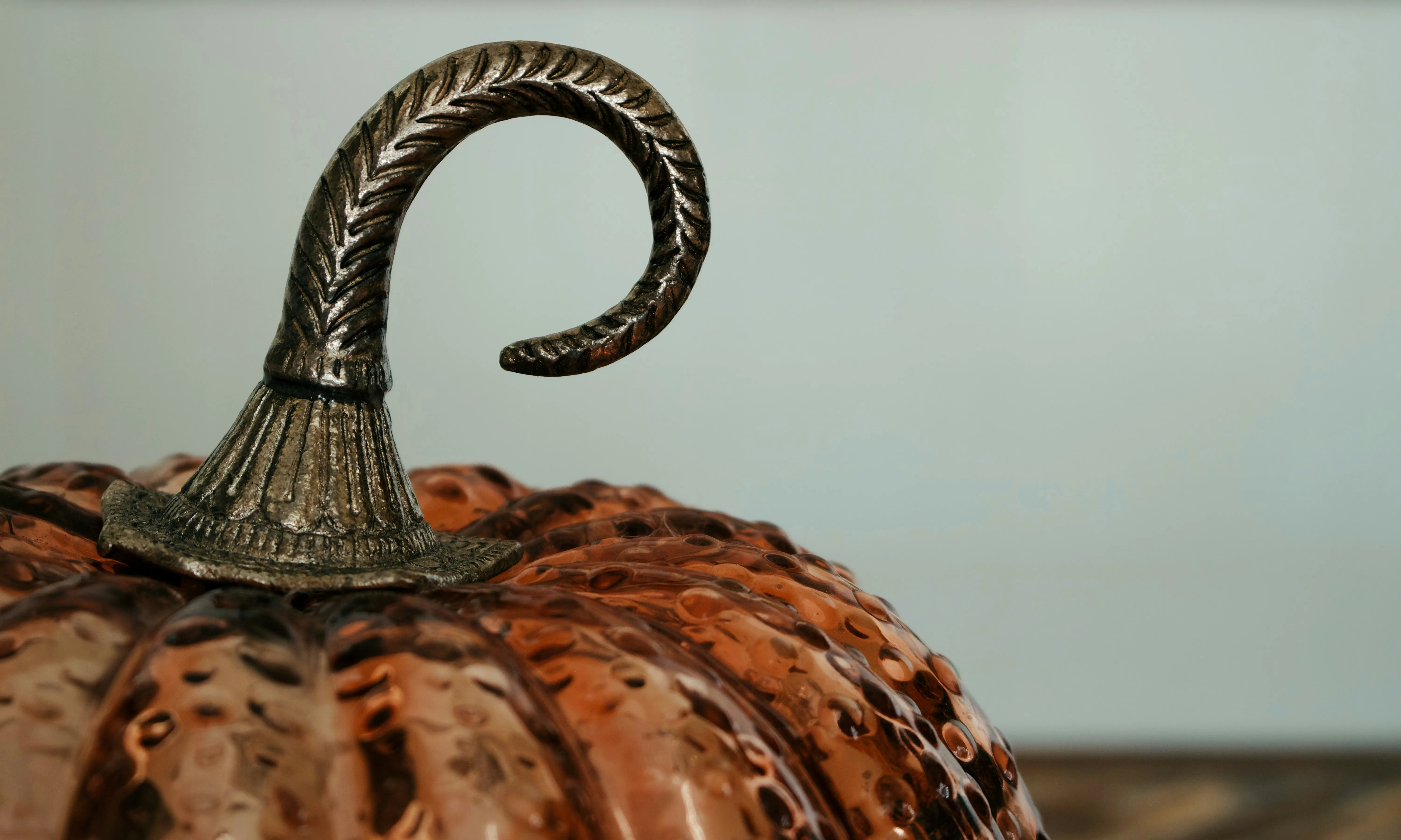 Close Up Of Textured Pumpkin Stem with Fall Colours Image