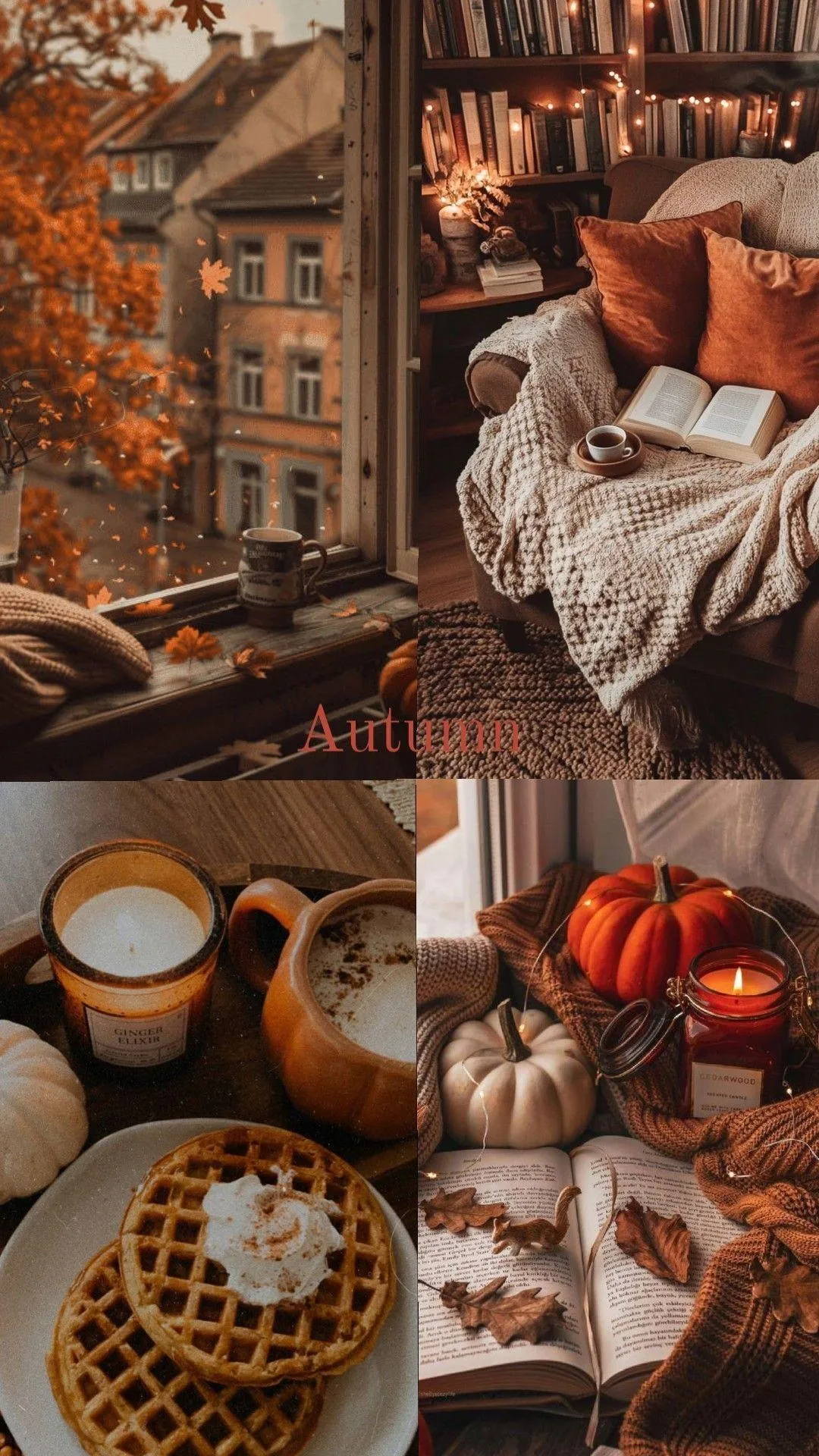 Coffee with Pumpkin Decor and Fall Blanket Free HD Image