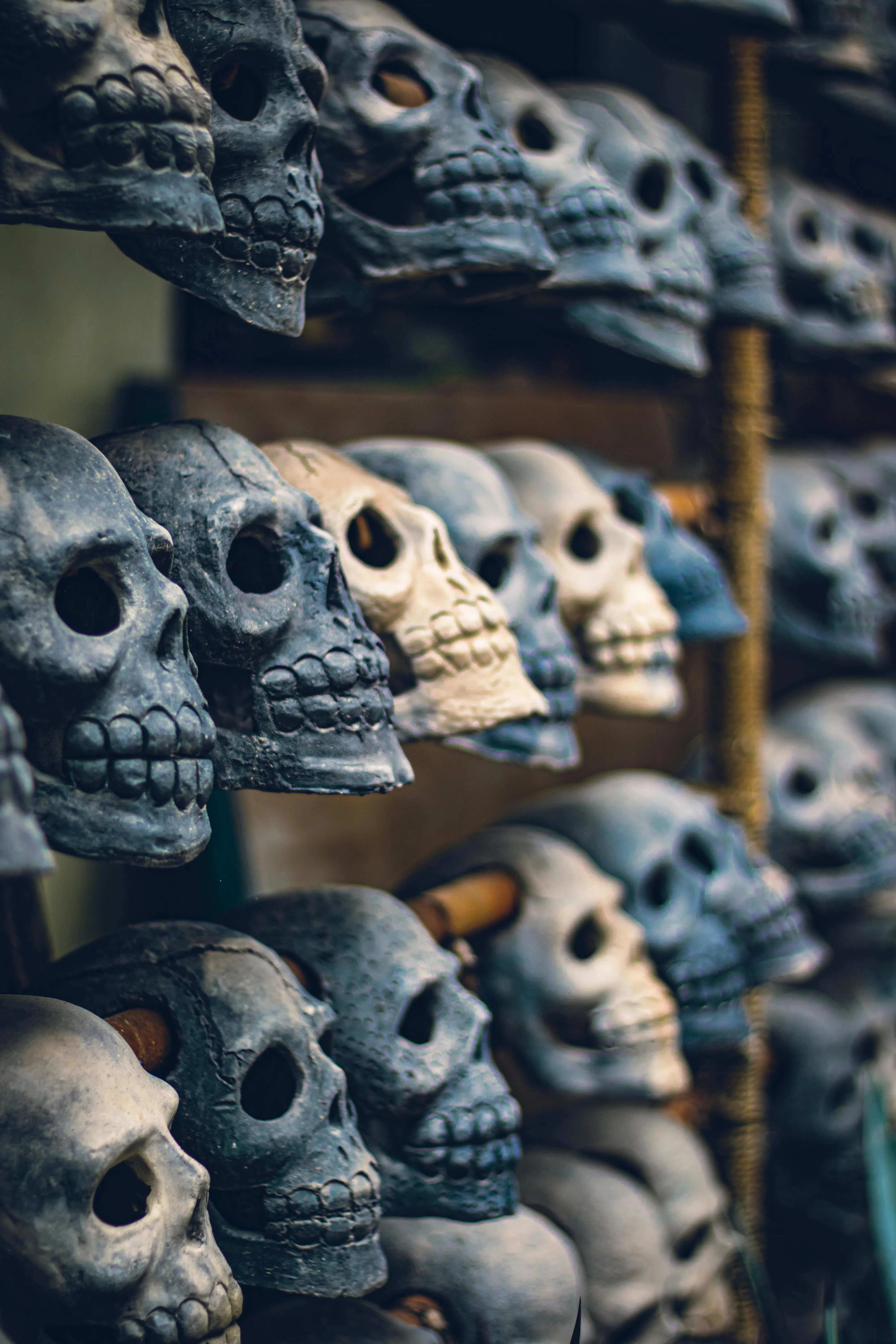 Collection of Decorative Skulls at Halloween Market image