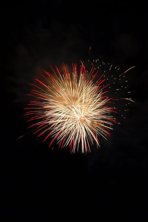 Colorful Firework Explosions Brightening the Night Sky