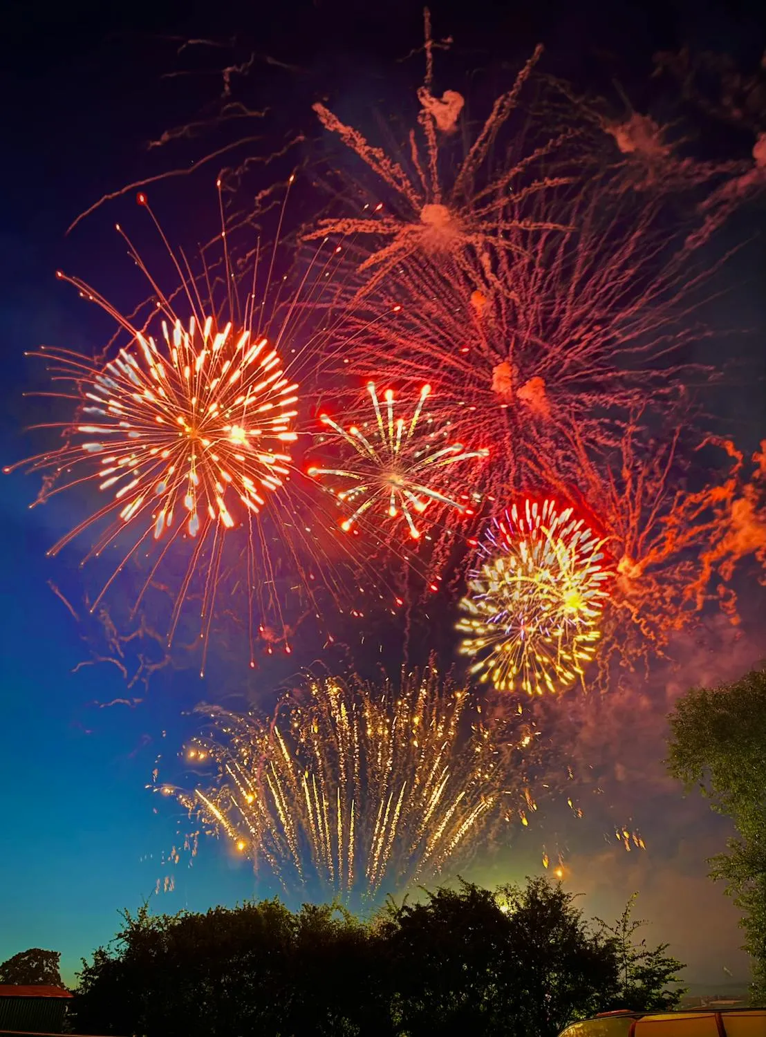 Colorful fireworks bursting above a countryside landscape
