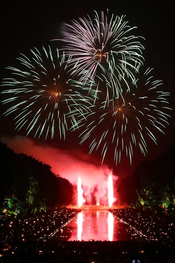 Colorful fireworks bursting over a scenic waterfront view