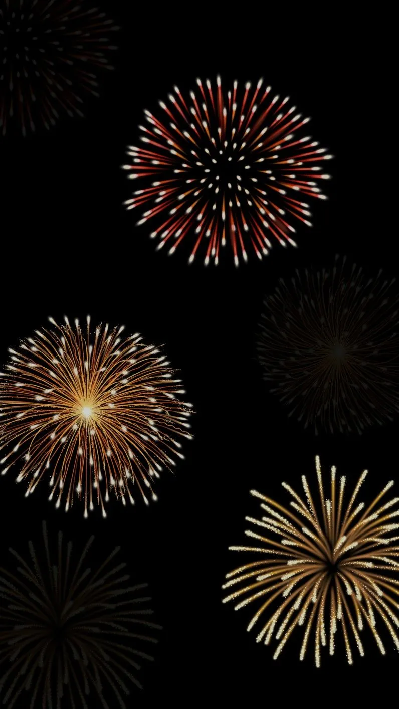 Colorful fireworks explode in a brilliant night sky