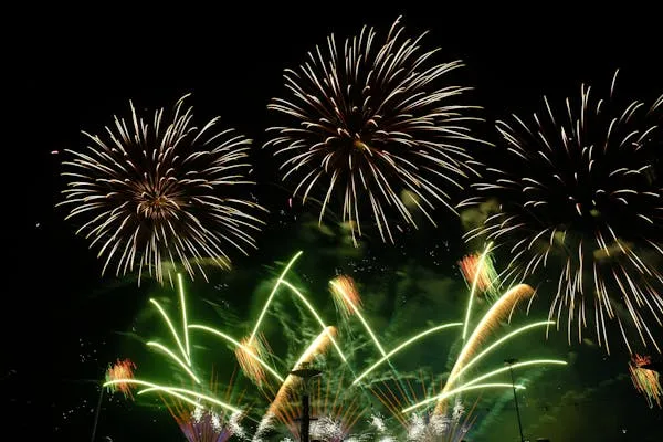 Colorful Fireworks Illuminate the Night Sky in Beautiful Display