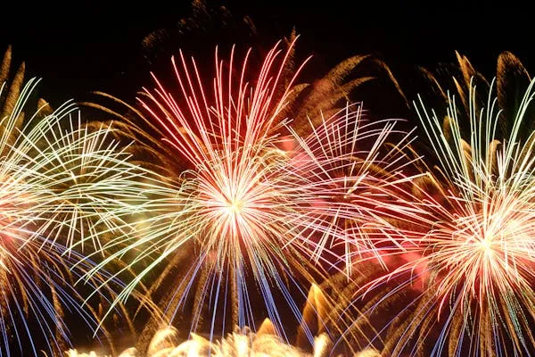 Colorful fireworks lighting up the sky with brilliance
