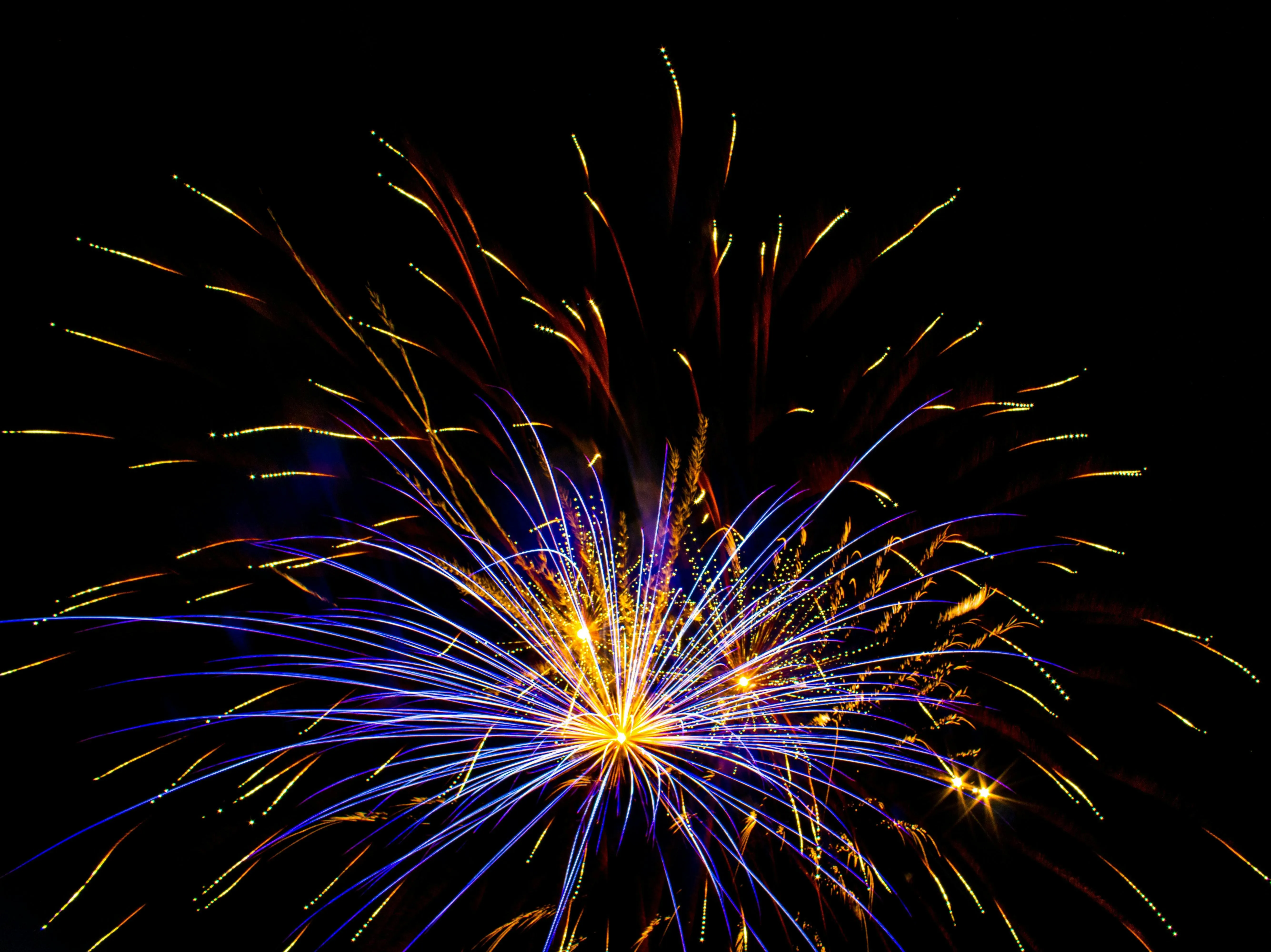 Colorful Fireworks Reflecting over the Water Surface Wallpaper