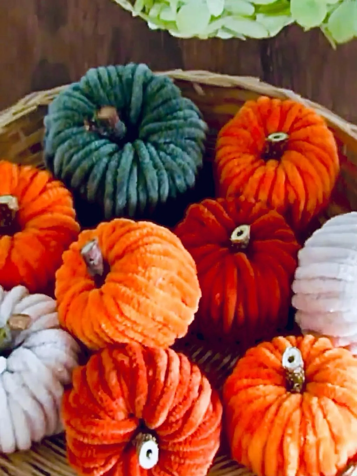 Colourful Assorted Pumpkins in Vibrant Autumn Display Image